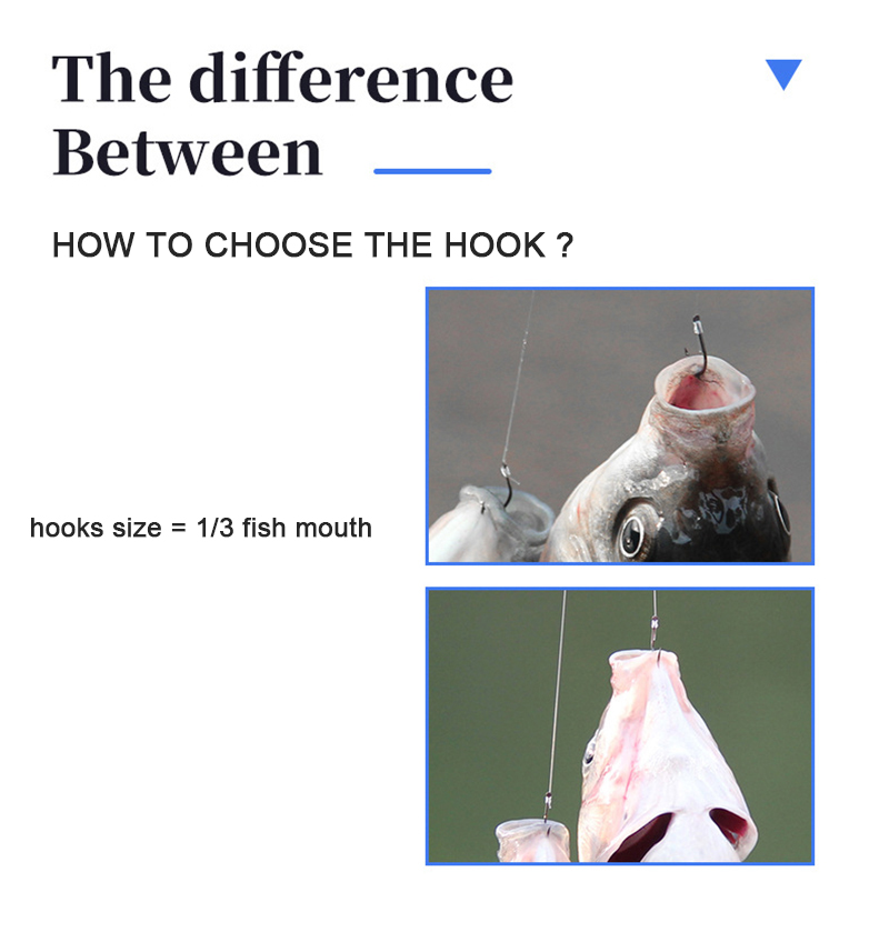 10 pair Fishing Hooks With Tip - đánh giá và giá Fishing Hook Assortment